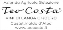 Teo Costa