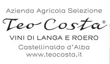 Teo Costa