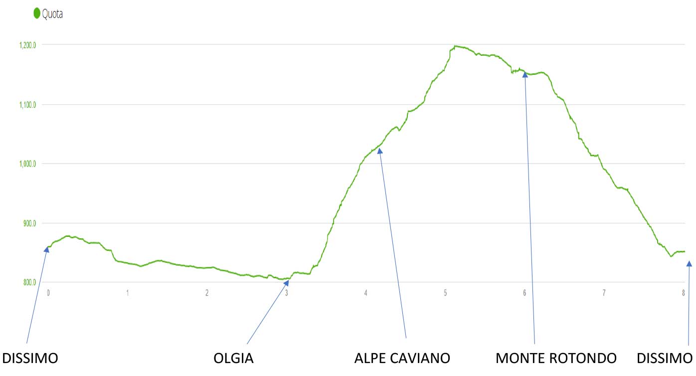 Altimetria